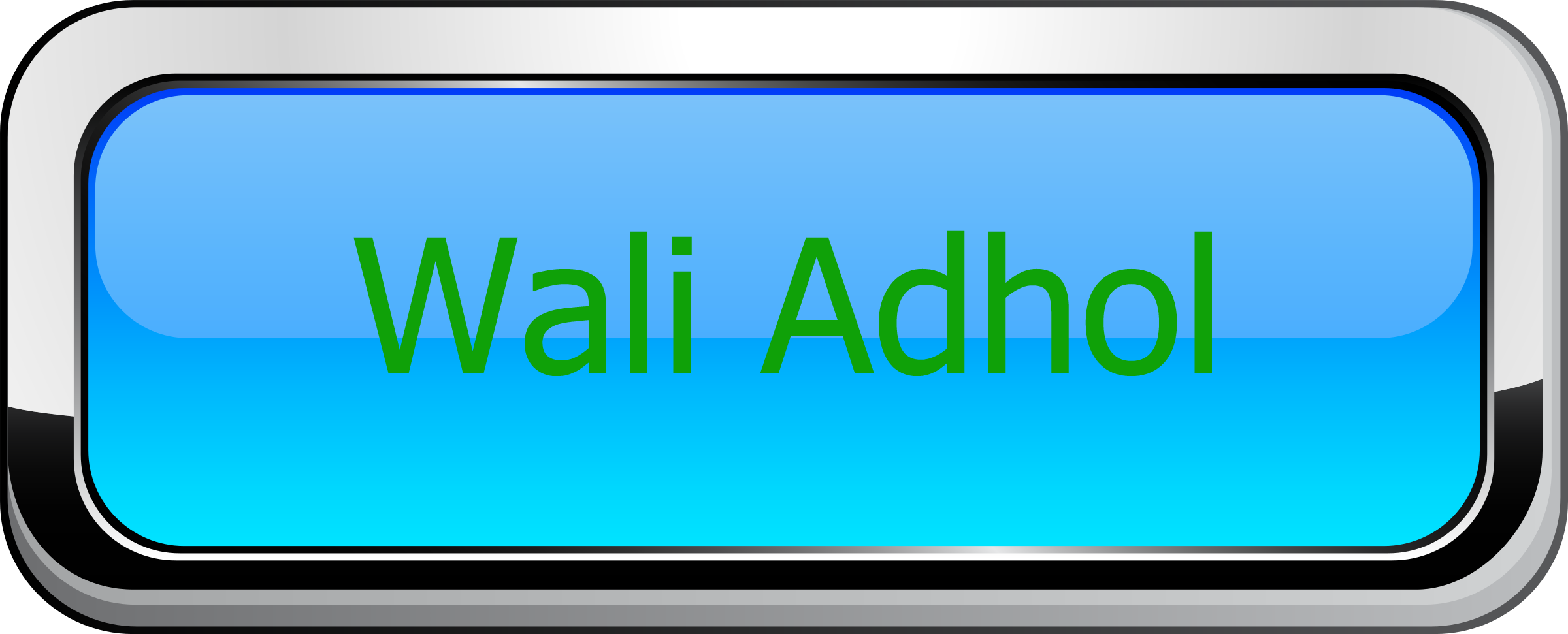 Wali Adhol